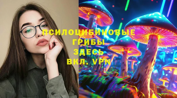 гашик Козловка