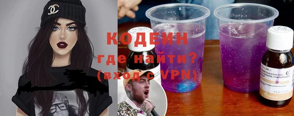 гашик Козловка