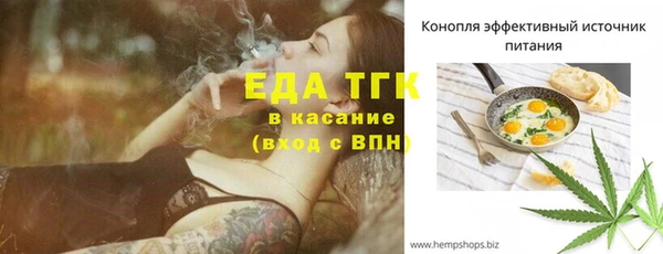 гашик Козловка