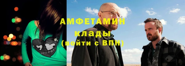 гашик Козловка