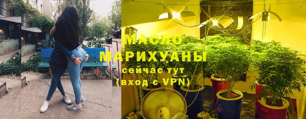 гашик Козловка