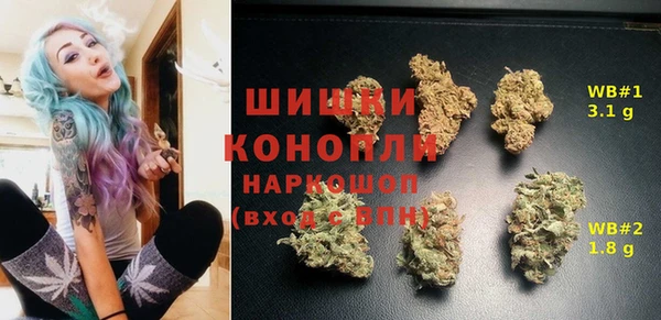 spice Кодинск