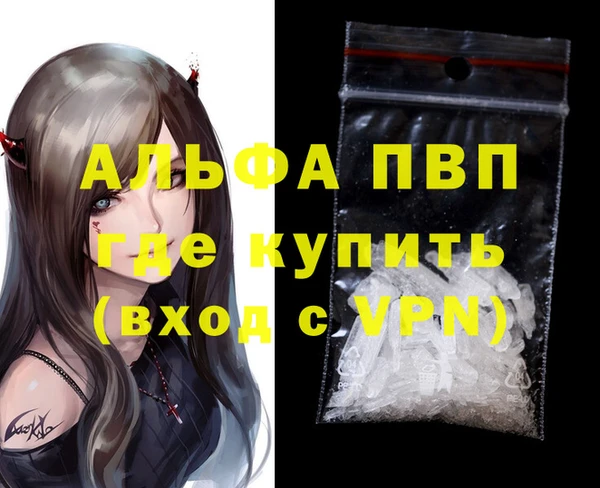 гашик Козловка
