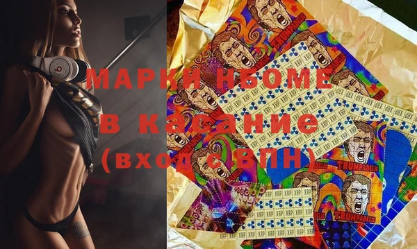 гашик Козловка