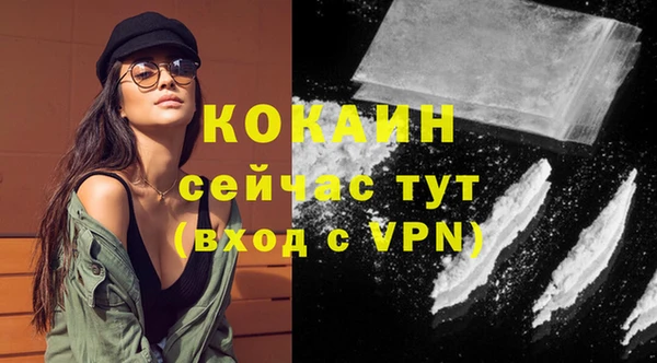гашик Козловка