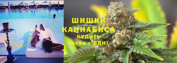 PSILOCYBIN Козельск