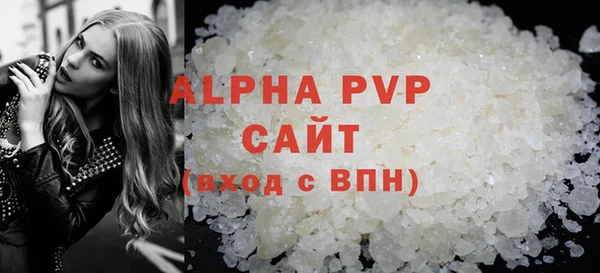 гашик Козловка
